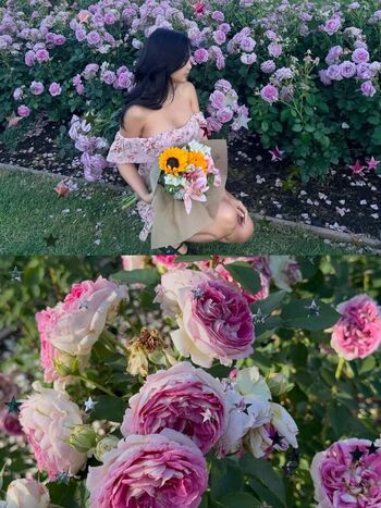 🔥 Alodiamarie  page leaked private photo uncensored full