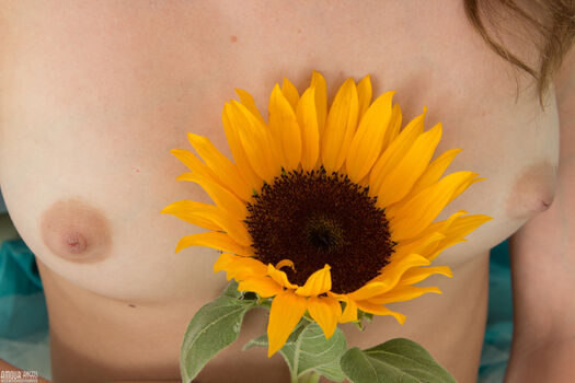 🔥 Amourangels page leaked private photo uncensored full