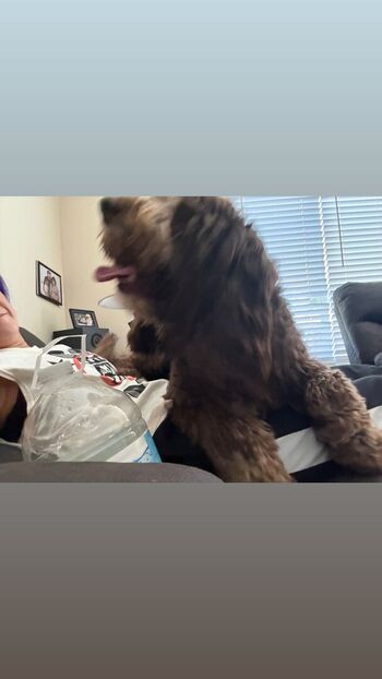 🔥 Bayley page leaked private photo uncensored full