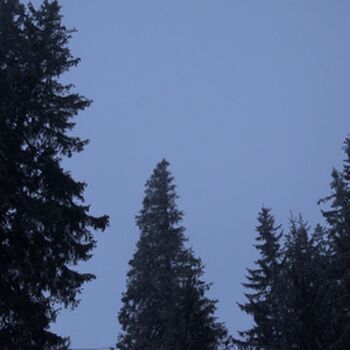 🔥 Girls huntersbeauty leaked private photo uncensored full