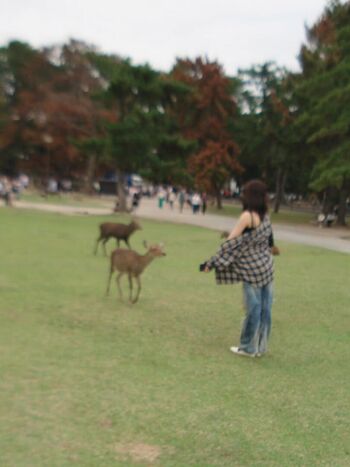 🔥 Kazuha nakamura  page leaked private photo uncensored full