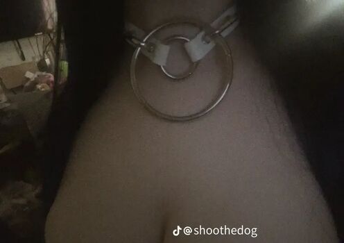 🔥 Shoothedogs leaked private photo uncensored full