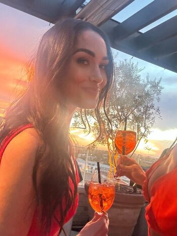 🔥 The bella twins page leaked private photo uncensored full
