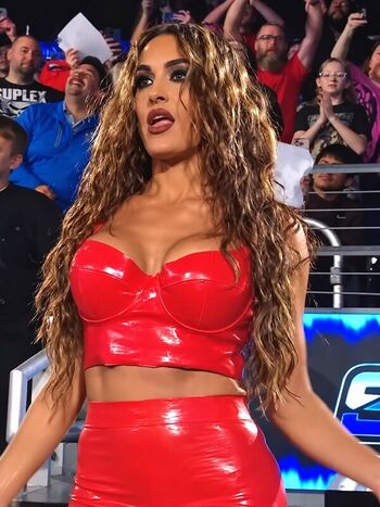 🔥 The bella twins leaked private photo uncensored full
