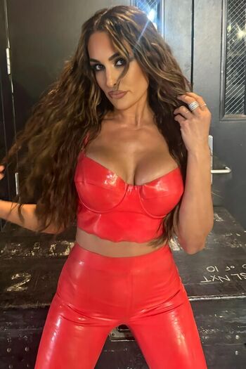 🔥 The bella twins leaked private photo uncensored full
